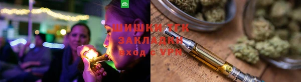 индика Протвино
